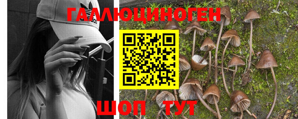Псилоцибиновые грибы мухоморы  Галлюциногенные грибы прущие грибы  Вход с VPN  Усть-Илимск 