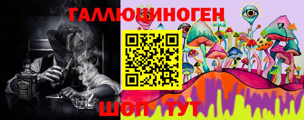 Галлюциногенные грибы Psilocybe Усть-Илимск